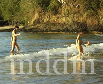 WM 179BEACH