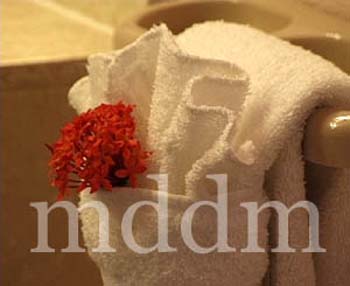 WM 008BED 01