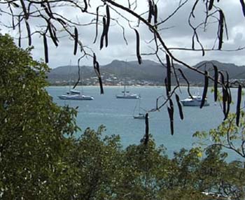 BAYVIEW 002