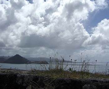 BAYVIEW 010