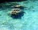 as_dive14