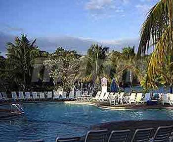 CSL101POOL
