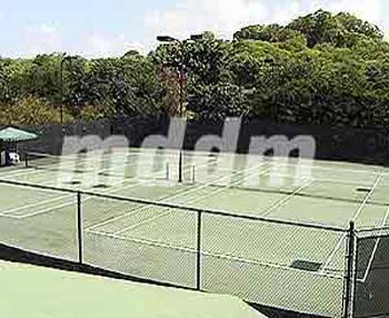 CSL216TENNIS