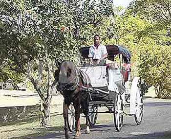 CSL053WEDDING