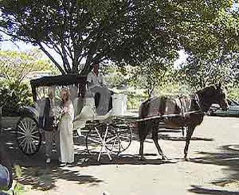 CSL054WEDDING