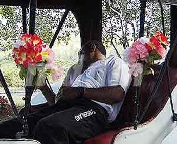 CSL079WEDDING