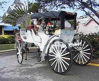 CSL226WEDDING2