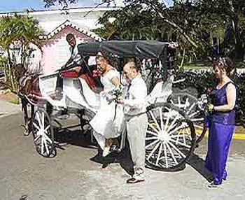 CSL227WEDDING2