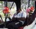 CSL079WEDDING
