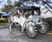 CSL226WEDDING2