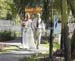 CSL229WEDDING2