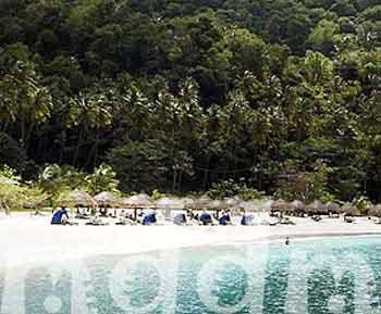 10_JAL189BEACH