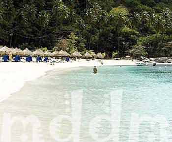 10_JAL223BEACH