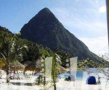 9_JAL026PITONS