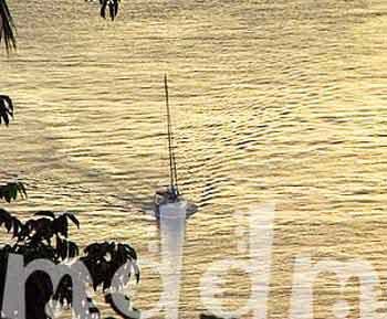 9_JAL077SUNSET