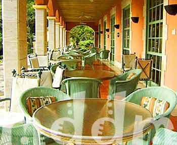 10_JAL142TERRACE