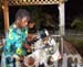 10_JAL091STEELBAND