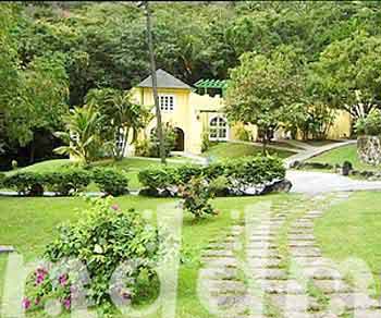 10_JAL146SUGARMILL