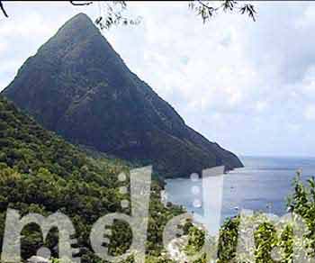 10_JAL211PITONS