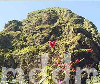 9_JAL006PITONS