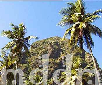 9_JAL010PITONS