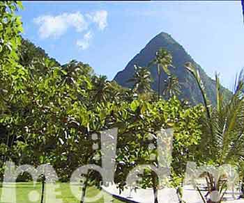 9_JAL014PITONS