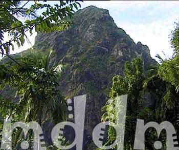 9_JAL041PITONS