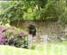 10_JAL147GROUNDS