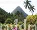 10_JAL153GROUNDS