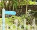10_JAL154GROUNDS