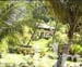 10_JAL204GROUNDS
