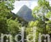 10_JAL215PITONS