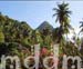 9_JAL004PITONS