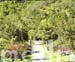 9_JAL011GARDEN