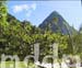9_JAL014PITONS