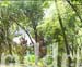 9_JAL052ROOMEXT