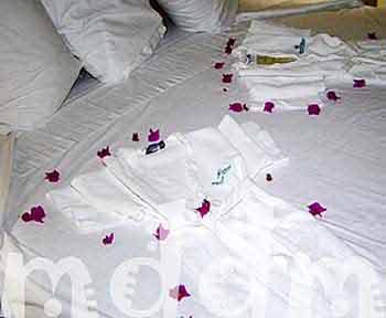9_JAL080ROOM
