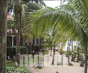 RVOUS044BEACH