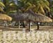 ROYAL009BEACH