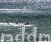REX3_016BEACH