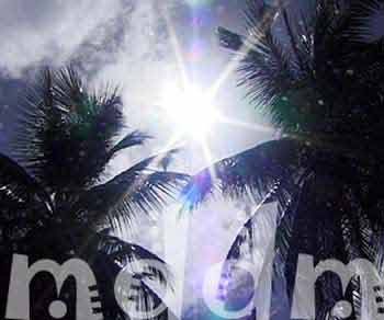 REX4_121SUNSHOT